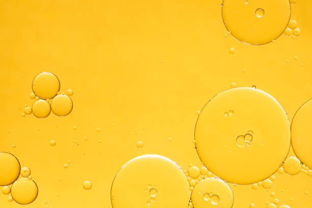 Fluid Mechanics for Beginners: Master the Basics